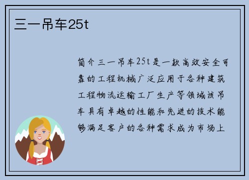 三一吊车25t