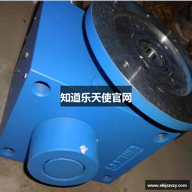 知道乐天使官网